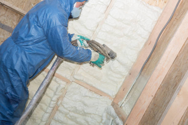 Types of Insulation We Offer in Liberty City, TX